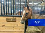 331-stivers_orig.jpg