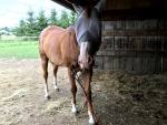 1347-Louiestickinmouth.jpg