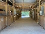 2556-IMG_0950.jpeg
