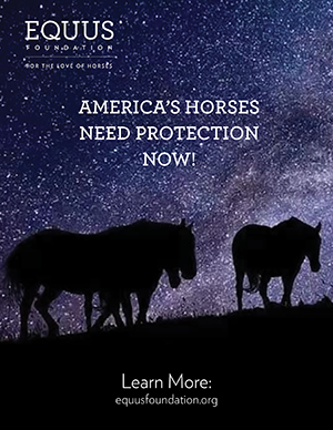 EQUUS Foundation