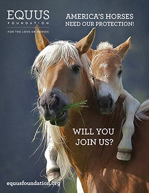 EQUUS Foundation