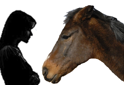 EQUUS Foundation
