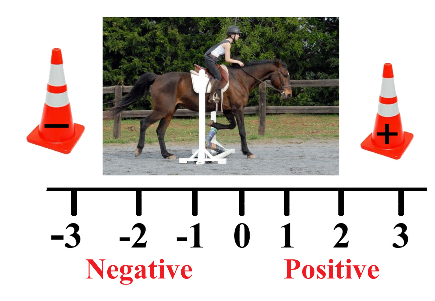 EQUUS Foundation