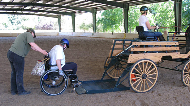 EQUUS Foundation