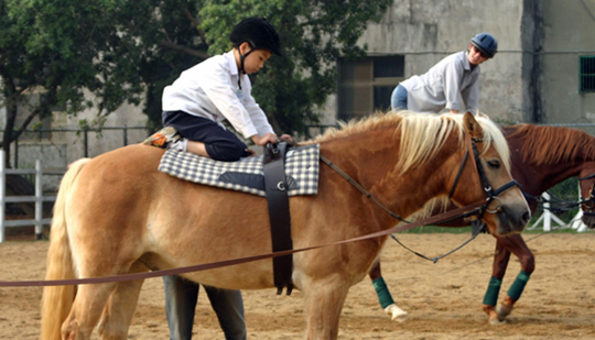EQUUS Foundation