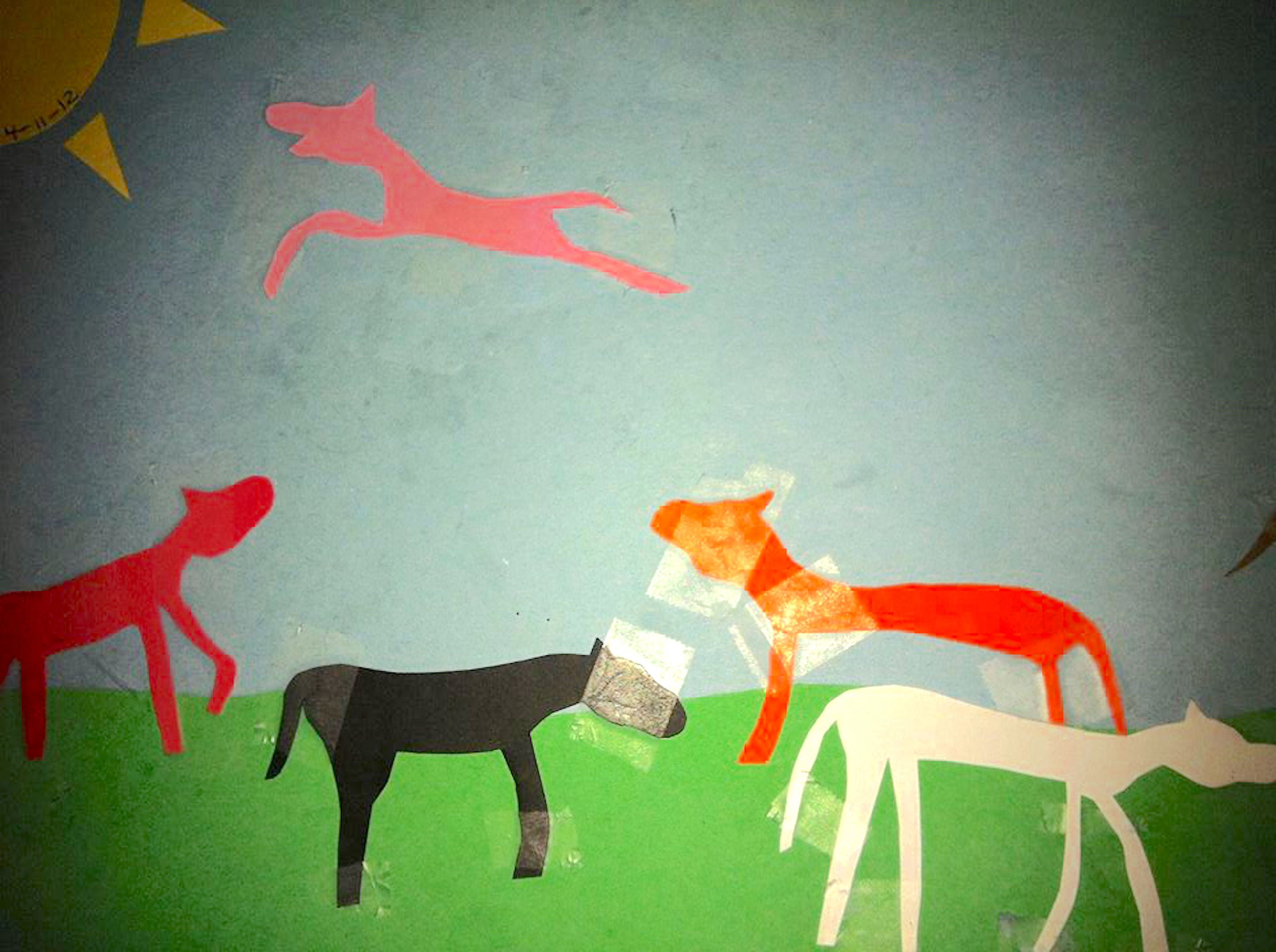 EQUUS Foundation