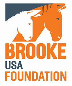Brooke USA