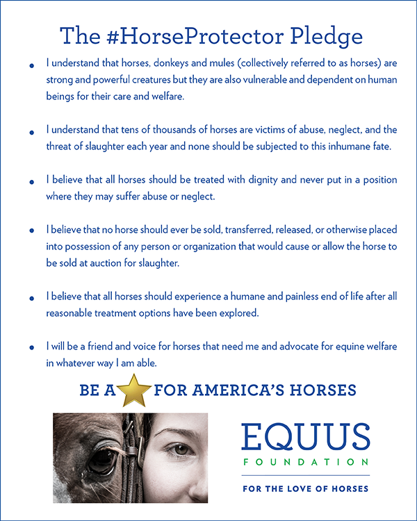 HorseProtector Pledge