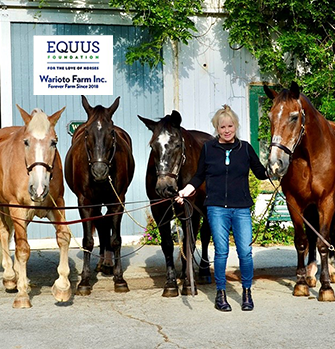 EQUUS Foundation