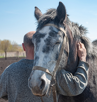 EQUUS Foundation