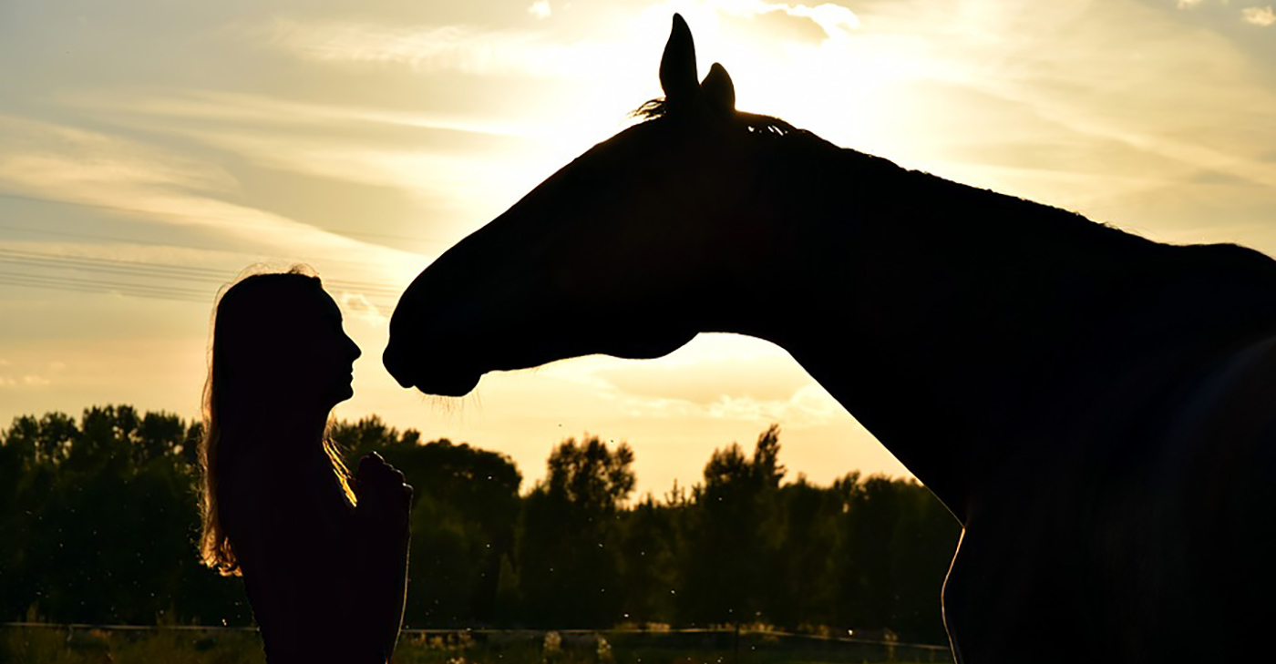 EQUUS Foundation Horse Whisperers