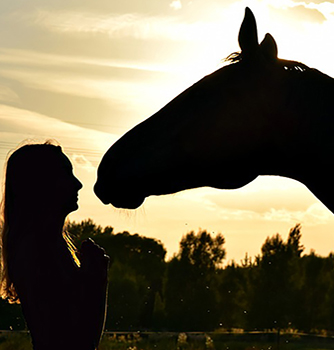 EQUUS Foundation