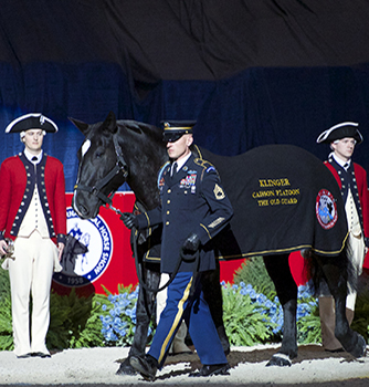 EQUUS Foundation