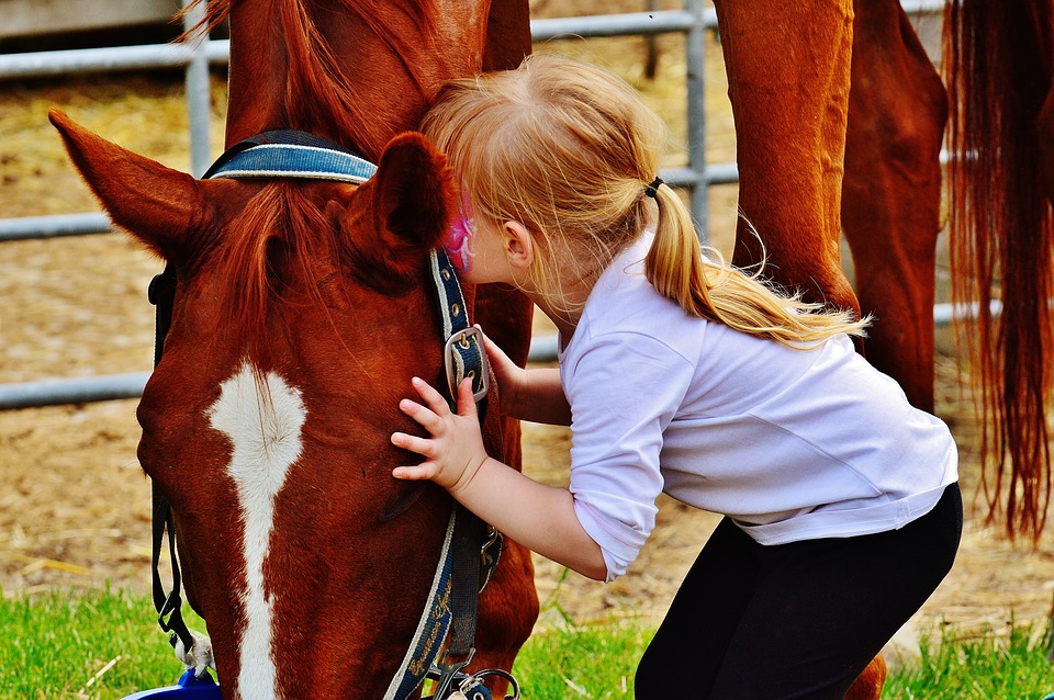 EQUUS Foundation