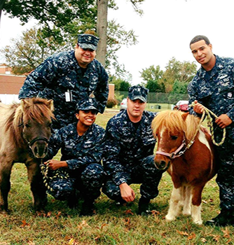 Project Horse